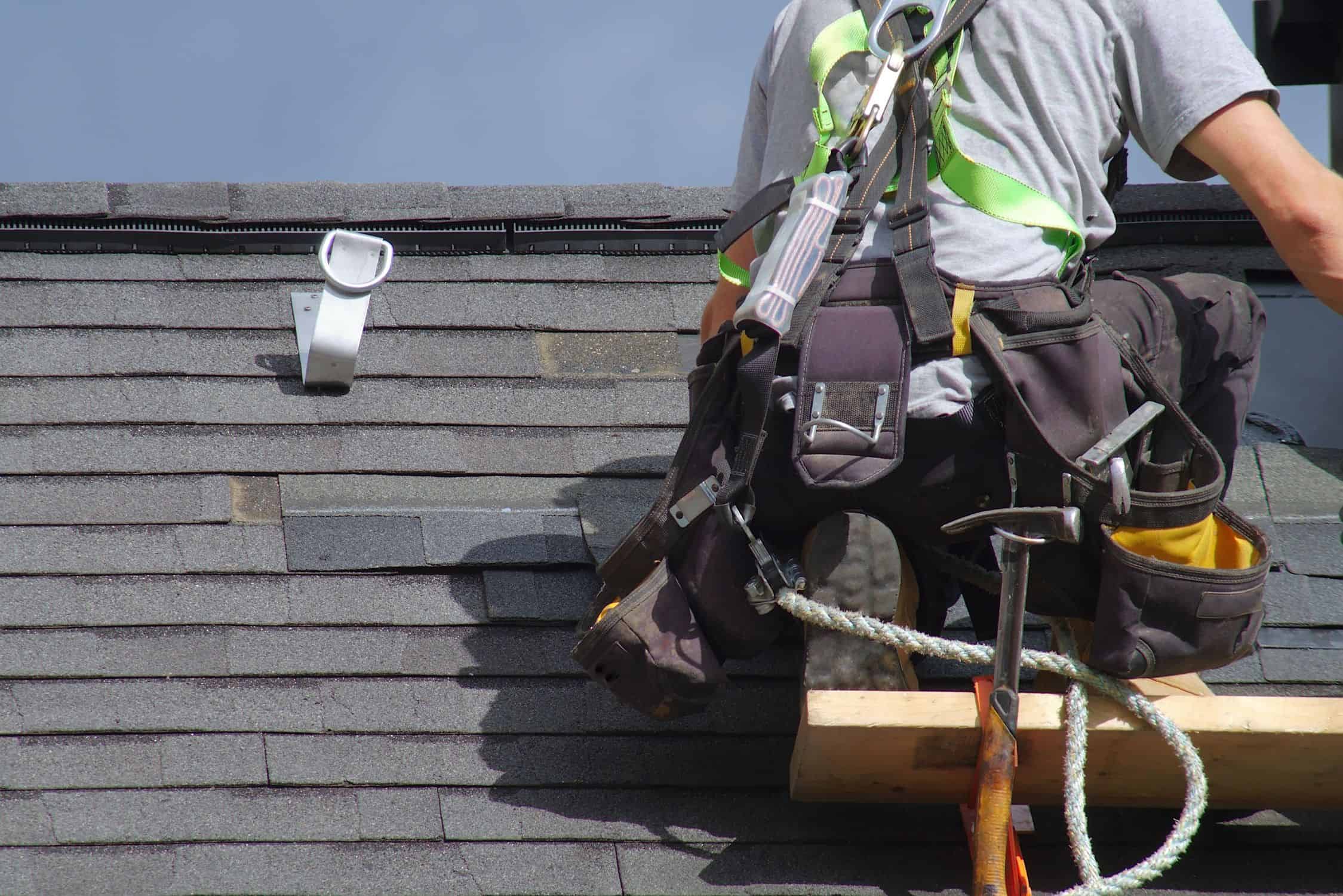 Shingle Roofing image